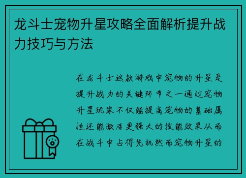 龙斗士宠物升星攻略全面解析提升战力技巧与方法